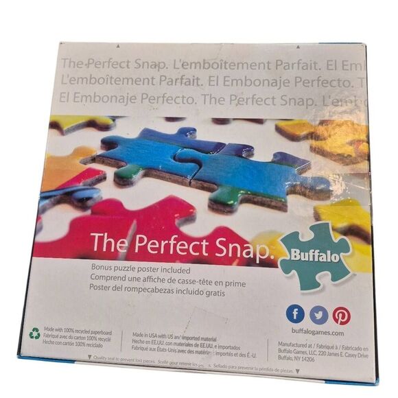 Buffalo Games Charles Wysocki Storin' Up 1000 pc Jigsaw Puzzle - Picture 7 of 8